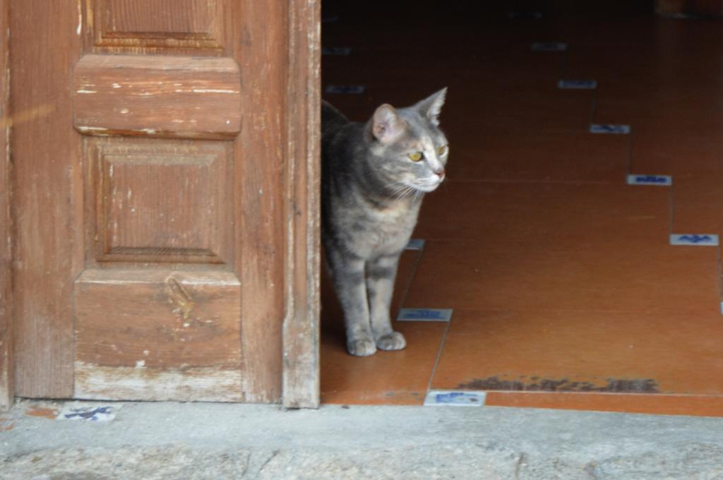 ホテル Hostal Refugio De Gredos ナバレドンダ・デ・グレドス エクステリア 写真