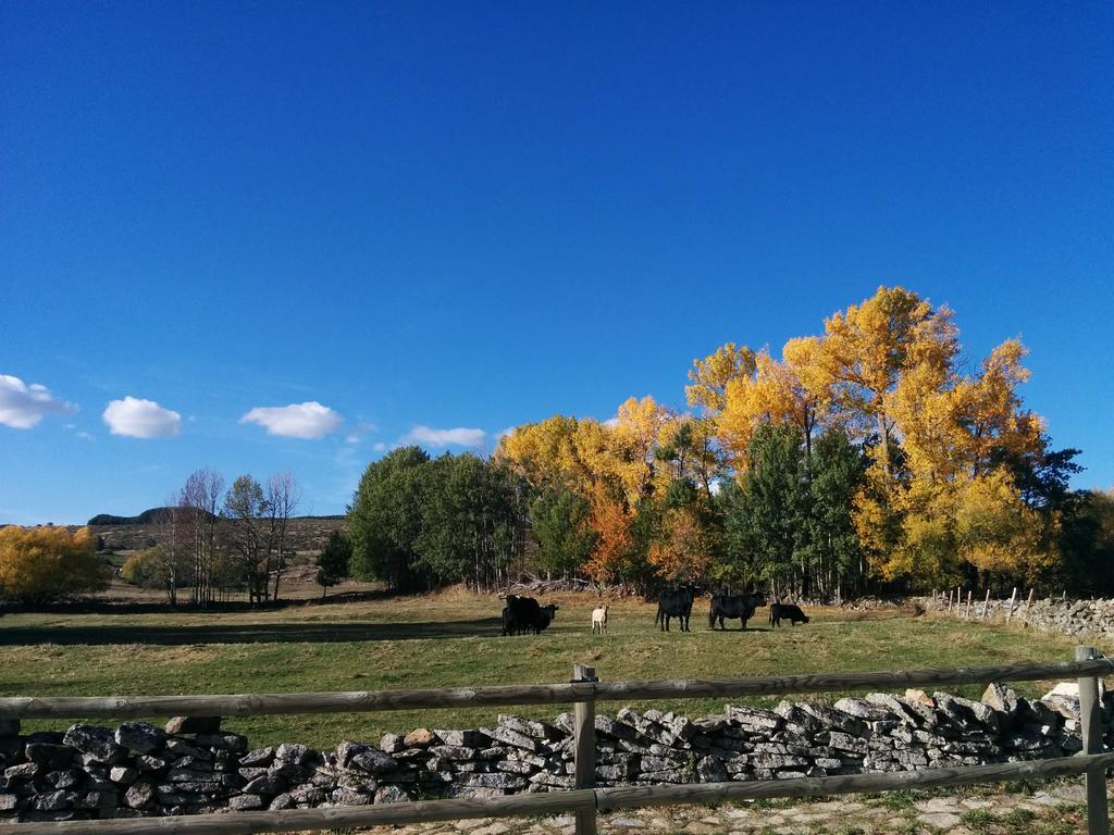 ホテル Hostal Refugio De Gredos ナバレドンダ・デ・グレドス エクステリア 写真